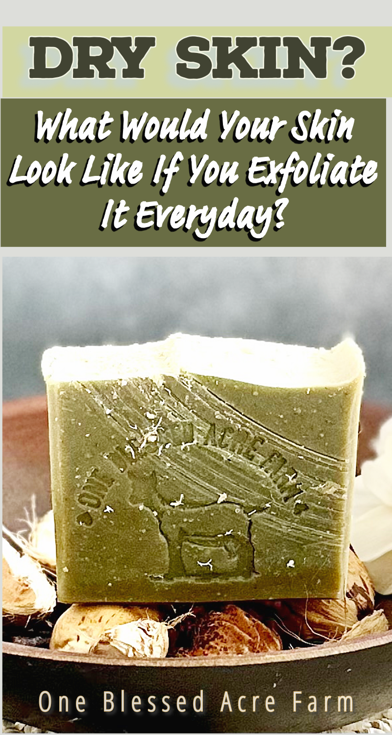Coconut Island Goat Milk Bar Soap