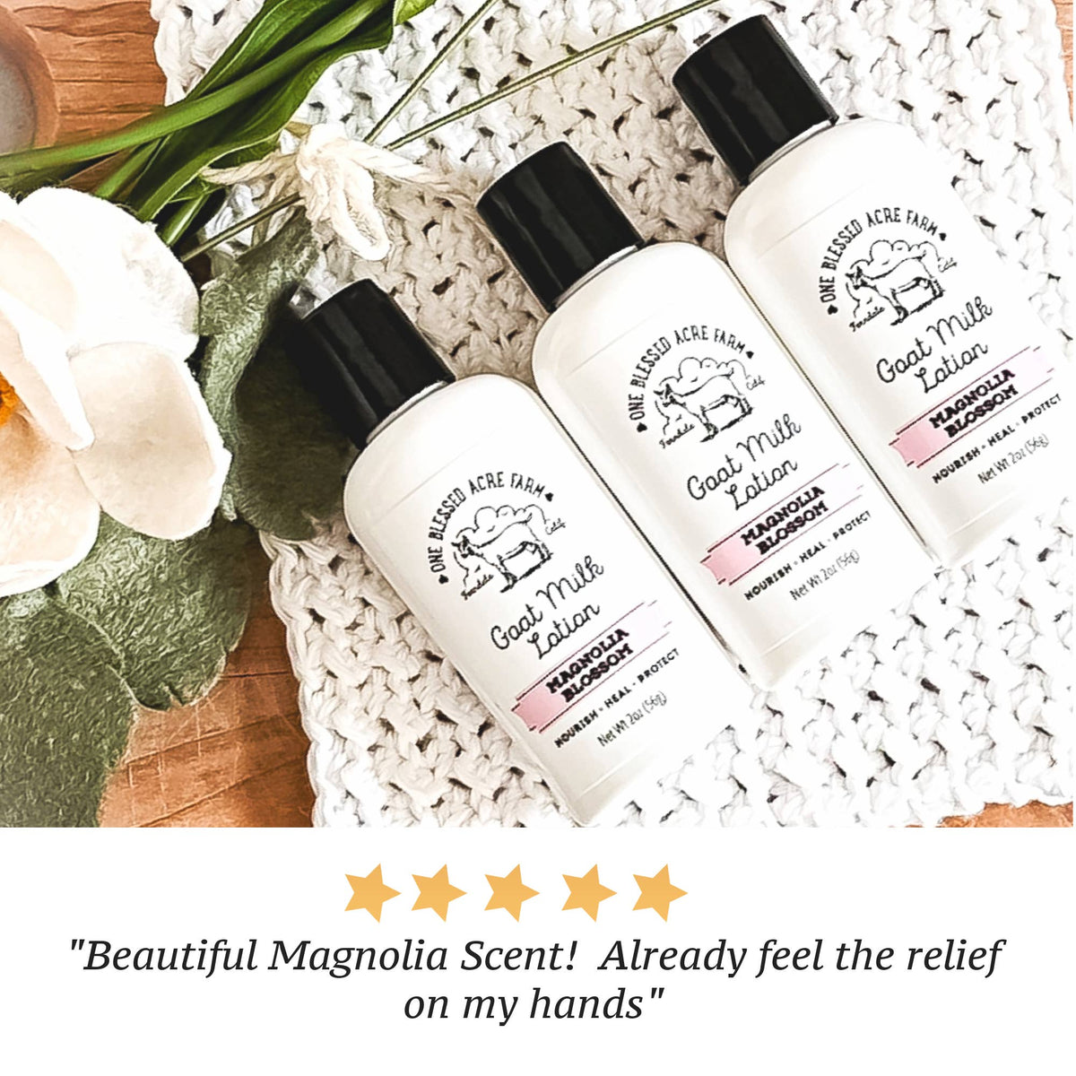 Magnolia Goat Milk Lotion Hand Cream Body Lotion Travel Size: 8 ounce with a pump