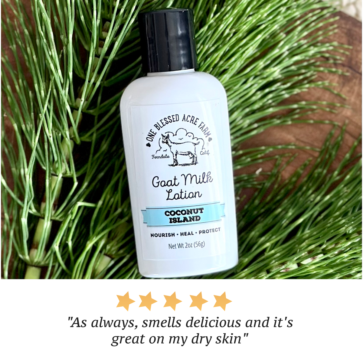 Coconut Island Goat Milk Lotion: 2 ounce with flip top