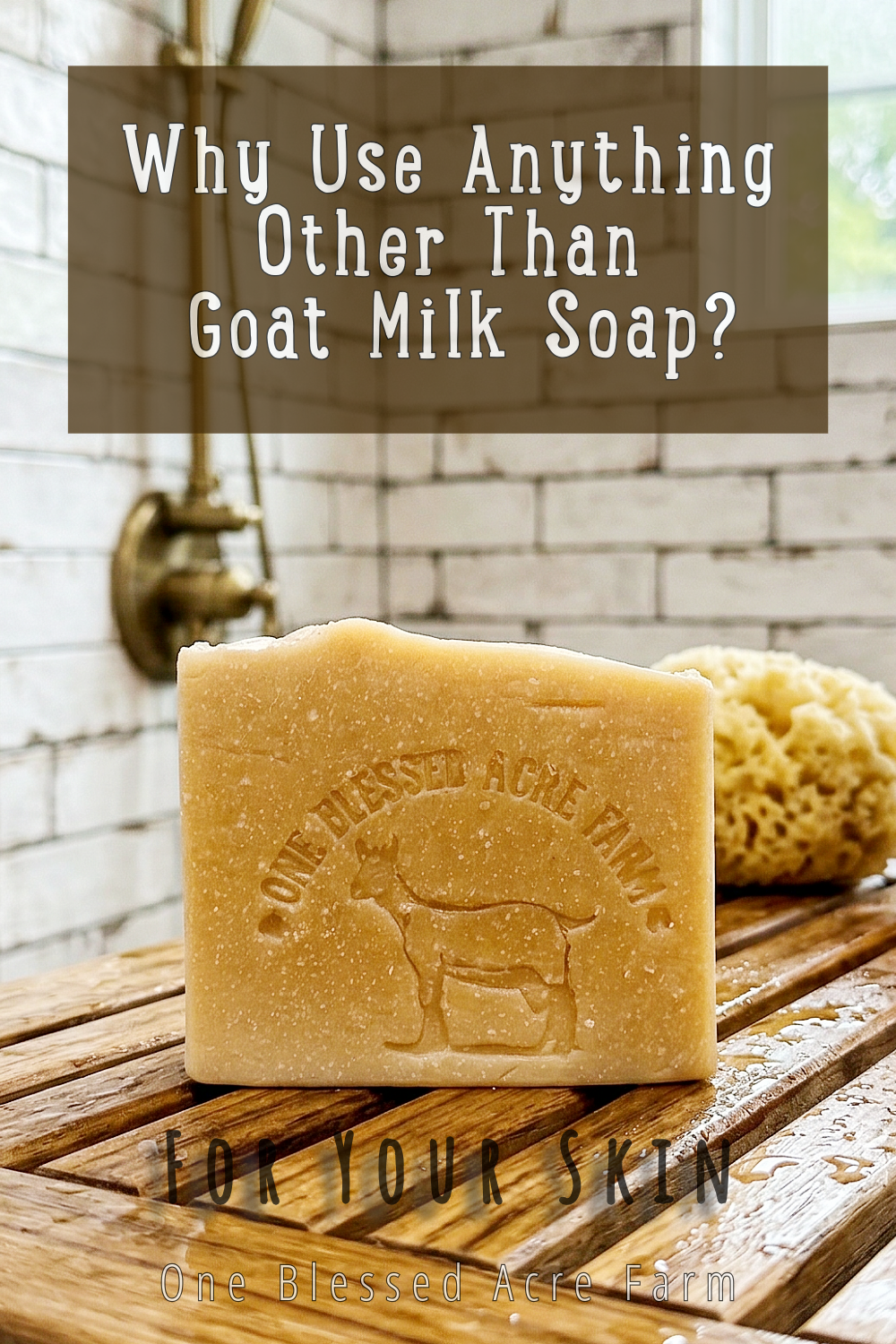 Almond Oatmeal Goat Milk Bar Soap