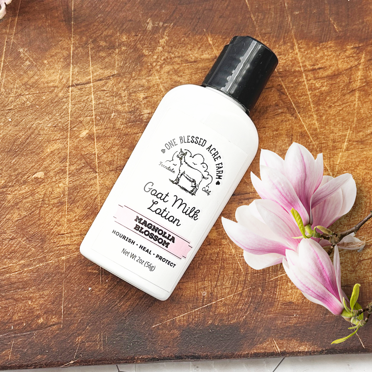 Magnolia Goat Milk Lotion Hand Cream Body Lotion Travel Size: 8 ounce with a pump
