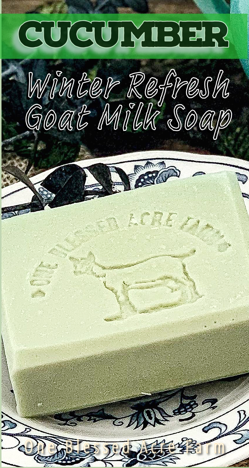 Cucumber Goat Milk Bar Soap