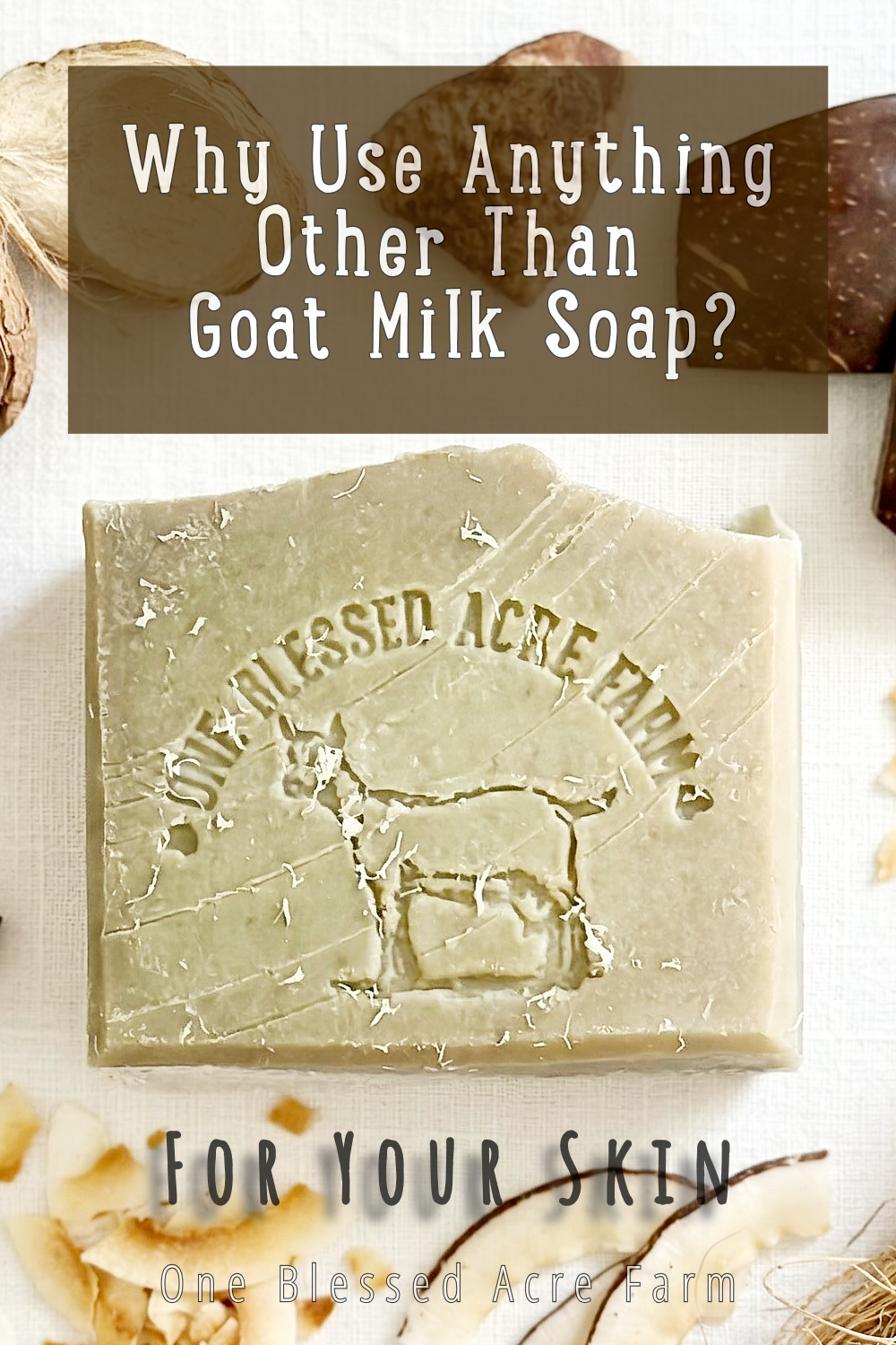 Coconut Island Goat Milk Bar Soap