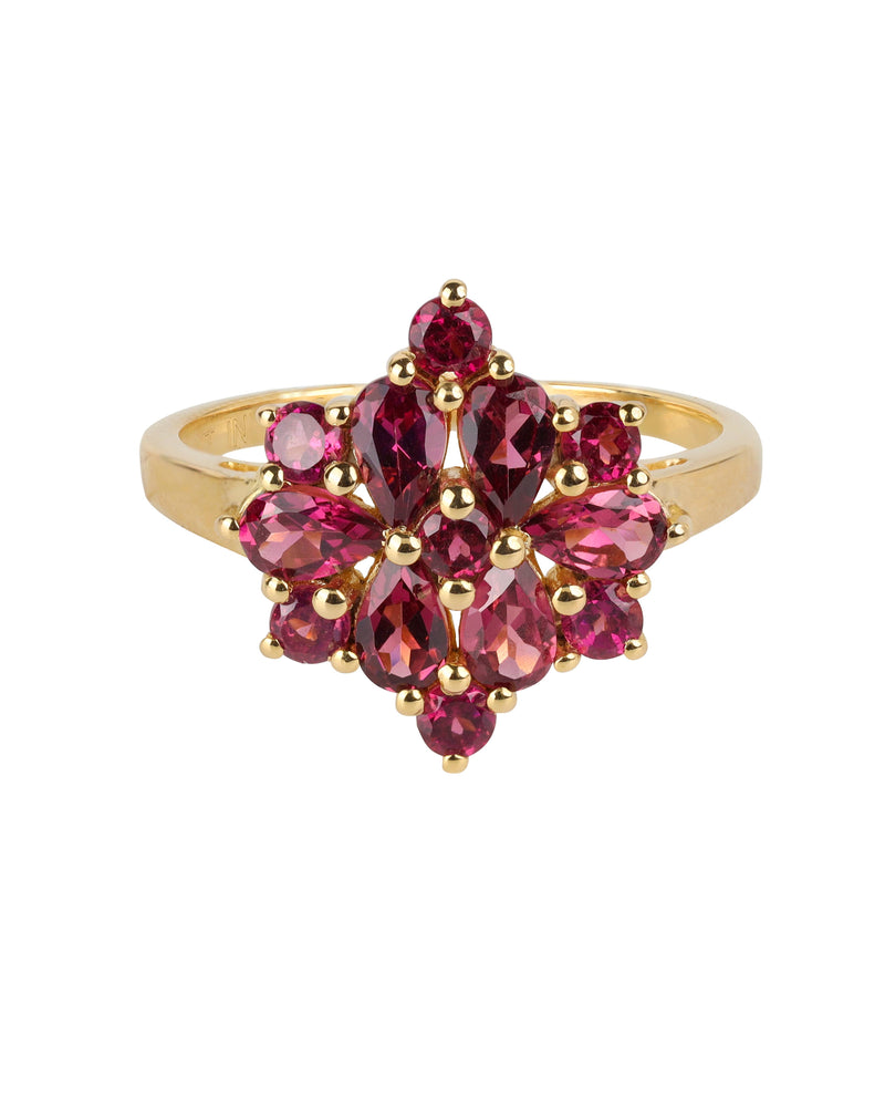 Gold Vermeil 925 Silver Crimson Bloom Rhodolite Garnet Ring: 9