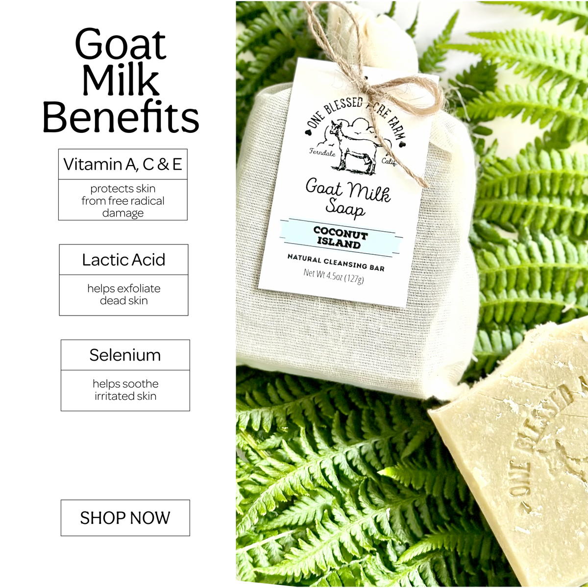 Coconut Island Goat Milk Bar Soap