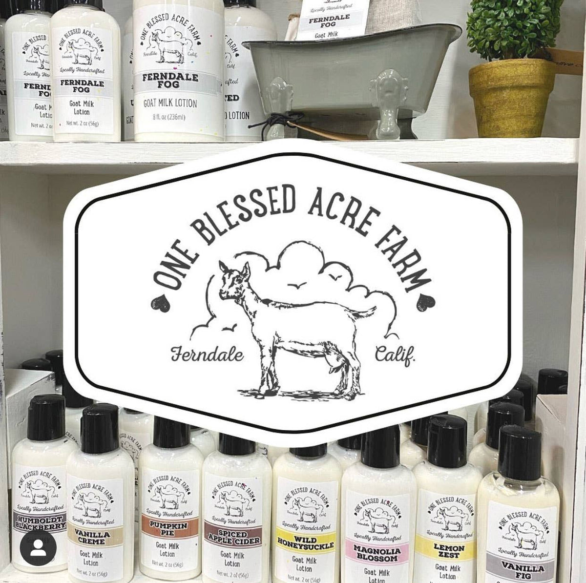 Vanilla Creme Goat Milk Lotion: 2 ounces with flip top