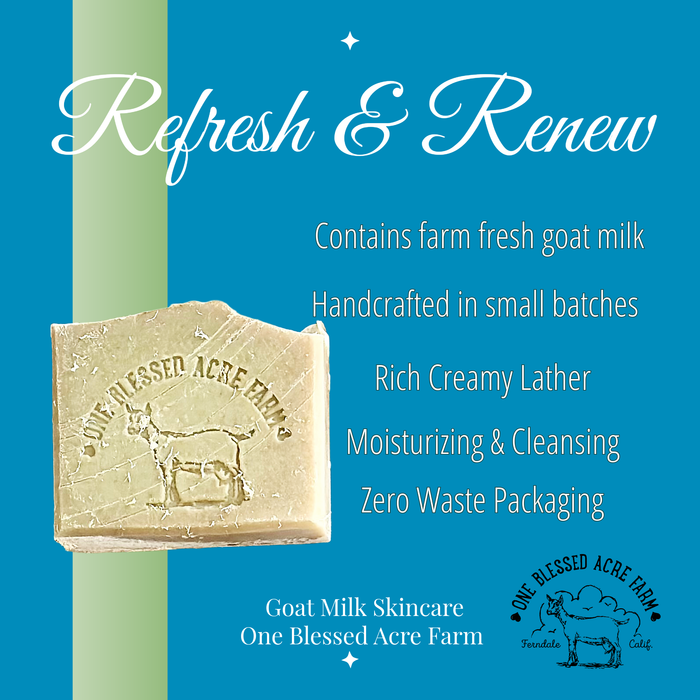 Coconut Island Goat Milk Bar Soap