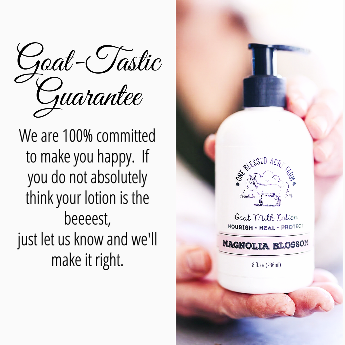 Magnolia Goat Milk Lotion Hand Cream Body Lotion Travel Size: 8 ounce with a pump