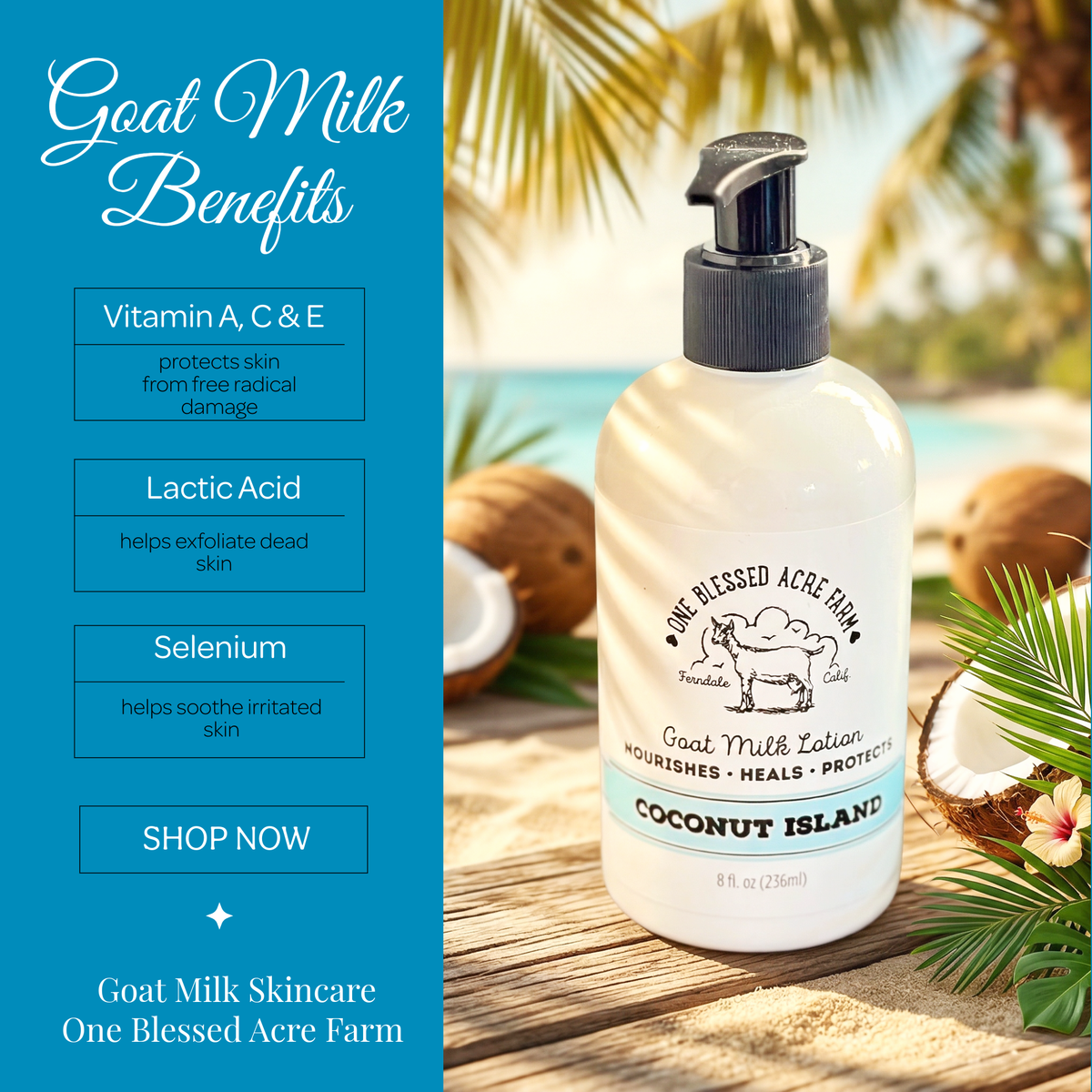 Coconut Island Goat Milk Lotion: 2 ounce with flip top