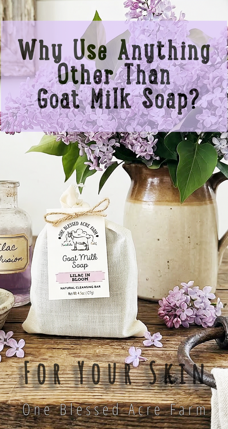 Lilac Goat Milk Bar Soap