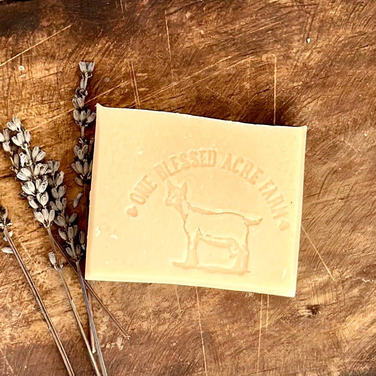 Fresh Lavender Goat Milk Bar Soap: Guest Soap Bar 1 ounce