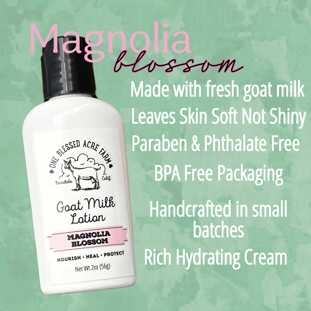 Magnolia Goat Milk Lotion Hand Cream Body Lotion Travel Size: 8 ounce with a pump