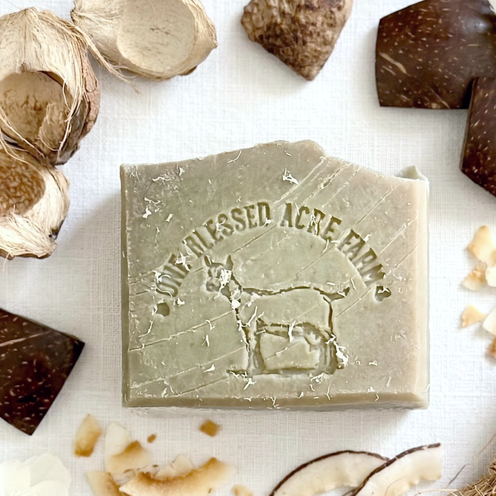 Coconut Island Goat Milk Bar Soap