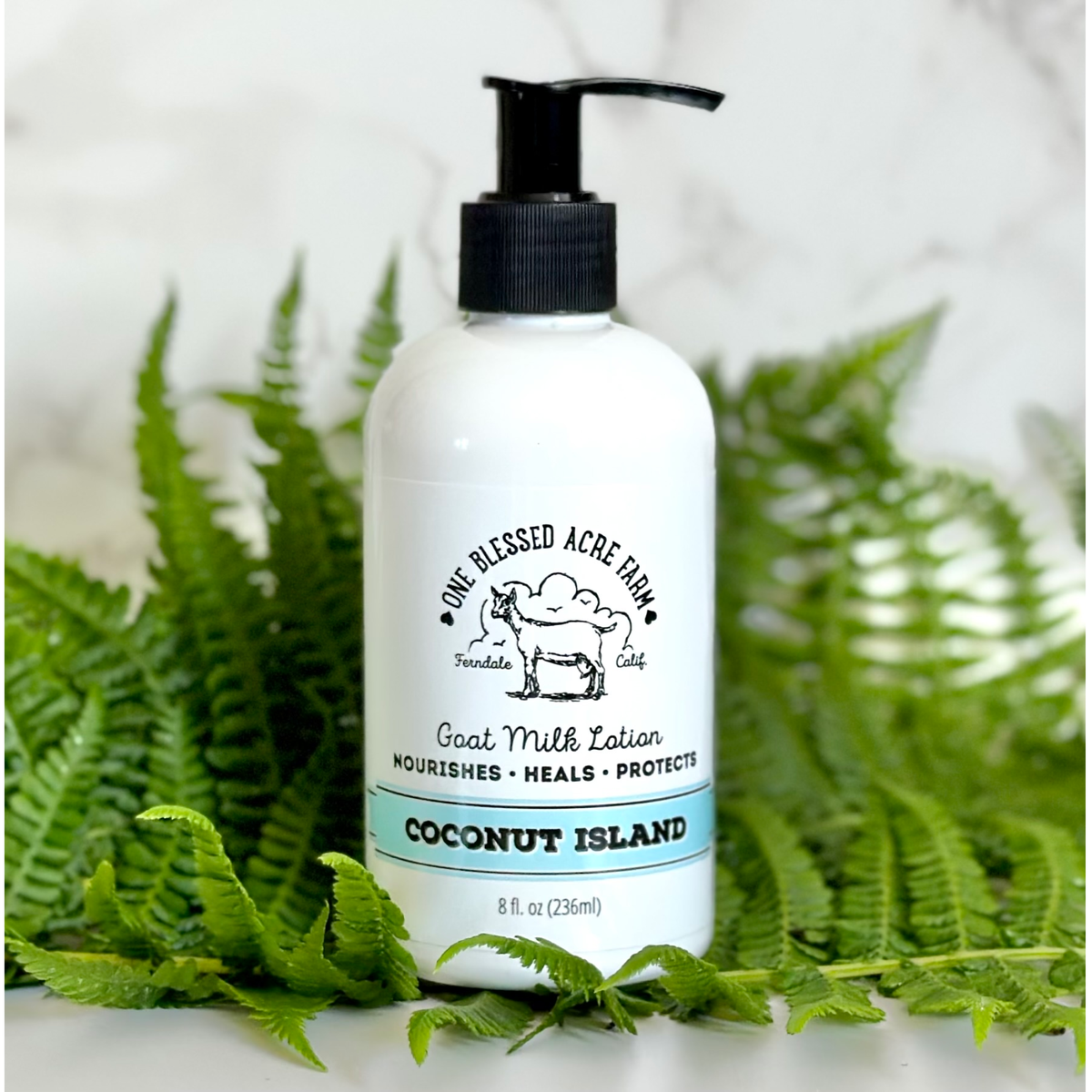 Coconut Island Goat Milk Lotion: 2 ounce with flip top