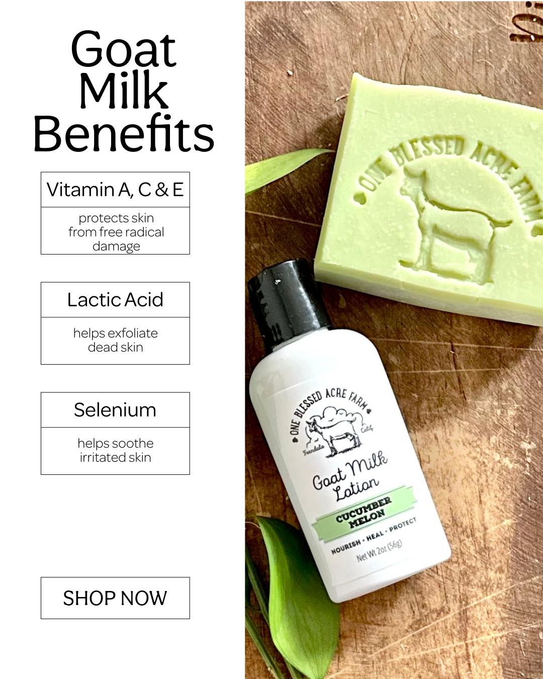 Cucumber Goat Milk Bar Soap