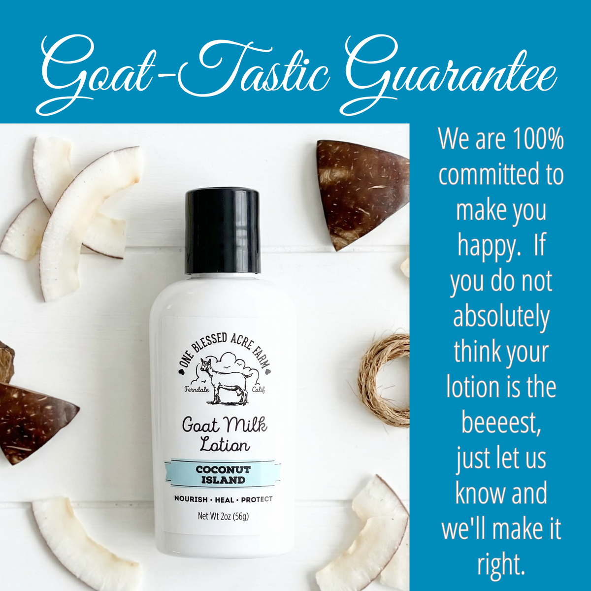 Coconut Island Goat Milk Lotion: 2 ounce with flip top